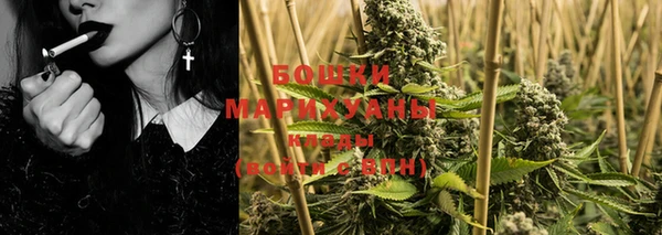 PSILOCYBIN Сатка