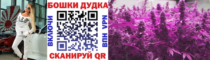 Конопля сатива купить наркоту Болхов